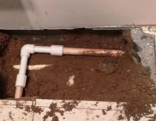 湘潭市测漏水哪家好