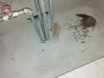 湘潭市卫生间测漏水价格明细