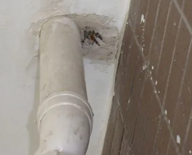 湘潭市漏水检测哪家好